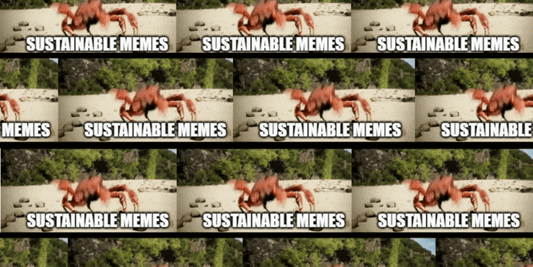 Shop Sustainable Memes with Us: Where Less is More